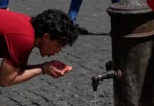 Ola de calor histórica en Europa: la OMS reportó más de 1300 muertes por las temperaturas extremas