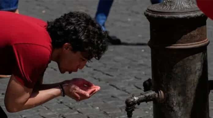 Ola de calor histórica en Europa: la OMS reportó más de 1300 muertes por las temperaturas extremas