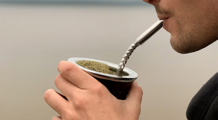 El mate podría retrasar el Parkinson: qué encontró un estudio de la UBA