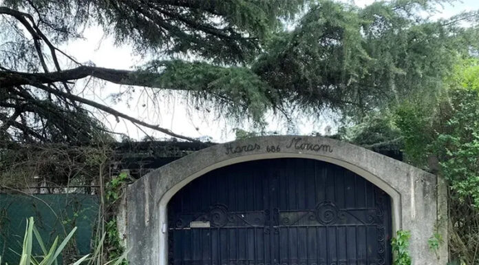 Las últimas horas del Indio: un “ACV hemorrágico” y el cuerpo hallado en el interior de la pileta