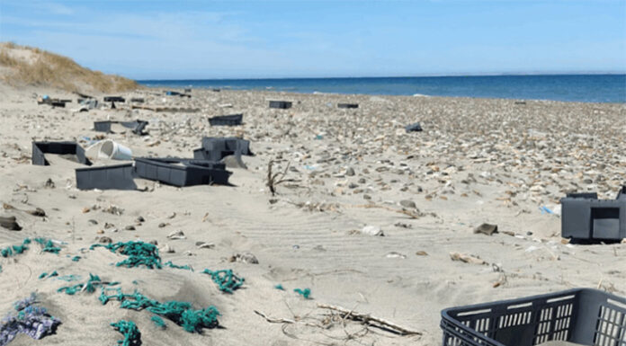 Playas de plástico en la Patagonia: Contaminación pesquera y las limpiezas como brújula colectiva