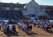 Exposición Rural 2026: los números de la gran fiesta del campo