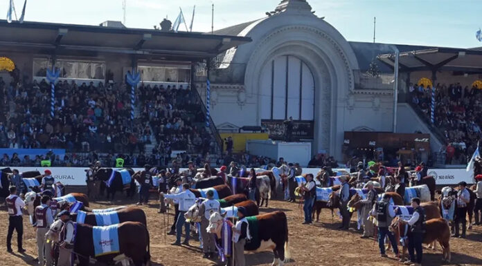 Exposición Rural 2026: los números de la gran fiesta del campo