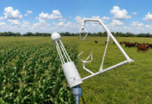 Emisiones de carbono en el agro: ¿Por qué a la ganadería pampeana le va mejor que a la agricultura?
