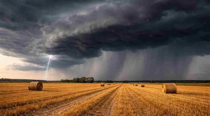 Se despide la ola polar y llega el “veranito de julio”, con lluvias en la provincia