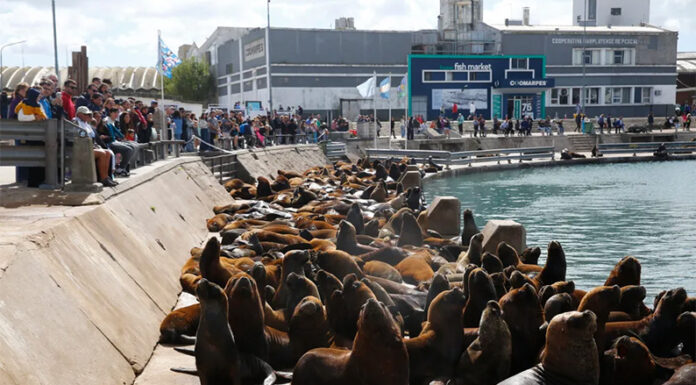 “Modo Mundial”: con expectativas moderadas, aún hay pocas reservas para las vacaciones