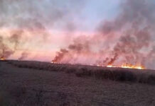 Llamas en el Delta del Paraná: investigan quemas intencionales frente a Ramallo y San Pedro