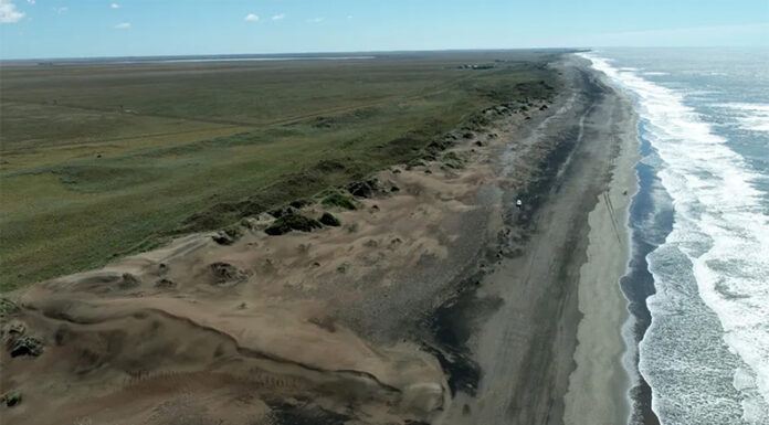 Tierras raras: estudian “paleocostas” bonaerenses en clave de transición y desarrollo energético