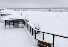 La nieve tiñó de blanco a Mar del Plata y otras localidades del sudeste bonaerense