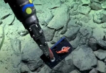 Por primera vez, un robot submarino documentó basura humana en el fondo profundo del Mar Argentino