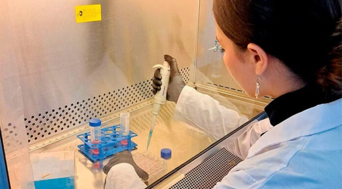 Científicos argentinos crean un test de sangre para detectar trastornos del neurodesarrollo en niños