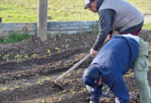 Se realizará un Censo Hortiflorícola en todo el territorio bonaerense después de 20 años