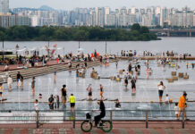 Olas de calor récord: cómo se intensifica el fenómeno en el mundo y qué se espera para el verano argentino