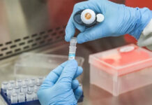 Hantavirus: la revista The Lancet destacó la respuesta de Argentina y la cooperación científica internacional
