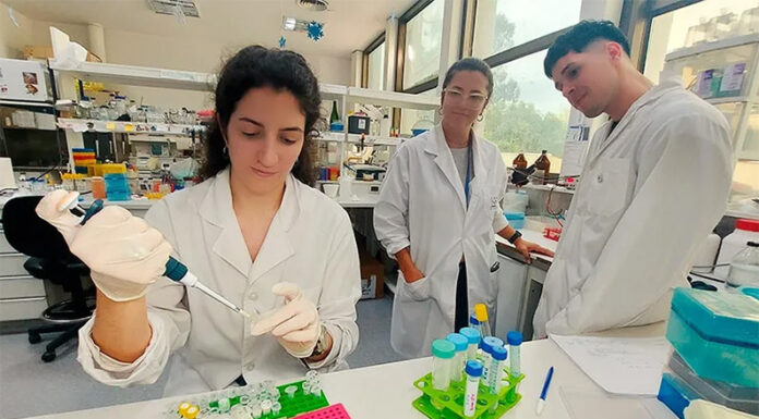 Científicos del CONICET avanzan en el diseño de un test rápido y económico para la detección del dengue