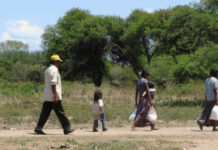 Más deforestación, menos agua y alimentos para las comunidades indígenas del NOA