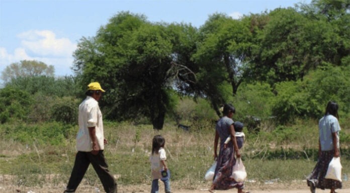 Más deforestación, menos agua y alimentos para las comunidades indígenas del NOA