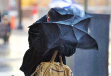 Alertas por viento y tormentas: se viene el Pampero, con ráfagas superiores a 75 km/h