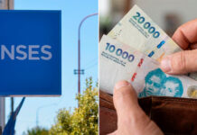 Quiénes pueden pedir la ayuda económica de Anses para personas sin trabajo y cómo se hace el trámite