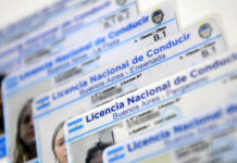 Fin a las multas para tramitar el registro: el proyecto para modificar la Ley de Tránsito bonaerense