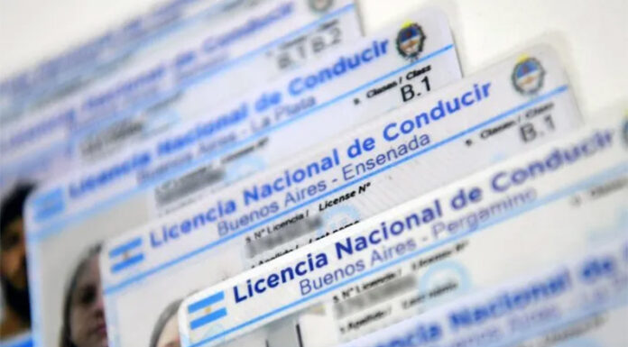 Fin a las multas para tramitar el registro: el proyecto para modificar la Ley de Tránsito bonaerense