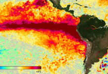 Súper El Niño: reportan récords de calor en el Pacífico y alertan por eventos climáticos extremos