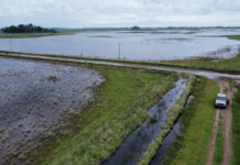 El Niño podría ser el más intenso de la historia: caerá hasta 90% más de lluvia que lo esperado