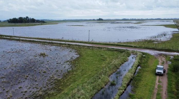 El Niño podría ser el más intenso de la historia: caerá hasta 90% más de lluvia que lo esperado
