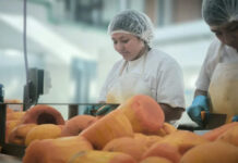 La UNLP y la Provincia avanzan con un acuerdo para producir alimentos sociales