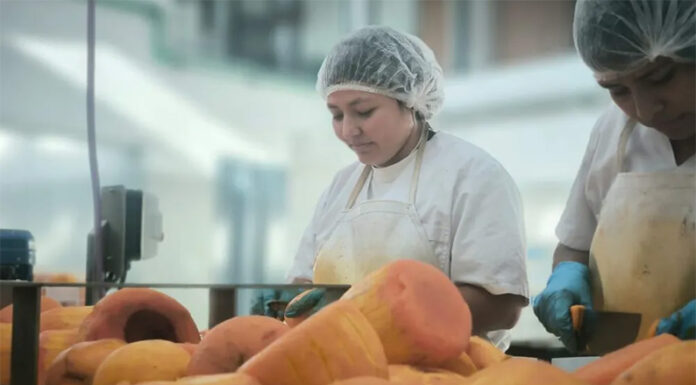 La UNLP y la Provincia avanzan con un acuerdo para producir alimentos sociales