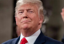 Donald Trump abrió la puerta a revisar la postura de EEUU sobre las islas Malvinas
