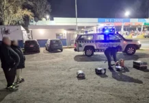 Zárate Ruta 9: detectaron marihuana oculta dentro de un oso de peluche enviado por encomienda