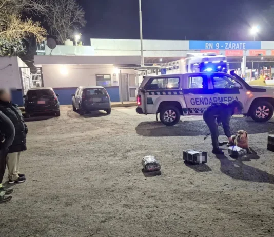 Zárate Ruta 9: detectaron marihuana oculta dentro de un oso de peluche enviado por encomienda