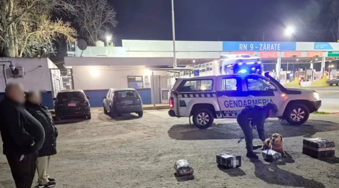 Zárate Ruta 9: detectaron marihuana oculta dentro de un oso de peluche enviado por encomienda
