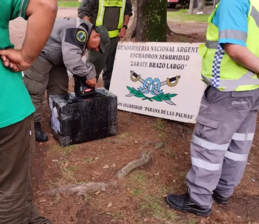 En Zárate: Gendarmería secuestró 73 celulares extranjeros enviados por encomienda en Ruta 12