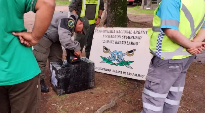 En Zárate: Gendarmería secuestró 73 celulares extranjeros enviados por encomienda en Ruta 12