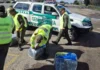 En Zárate: Gendarmería secuestró más de 115 kilos de hojas de coca en la Ruta 9