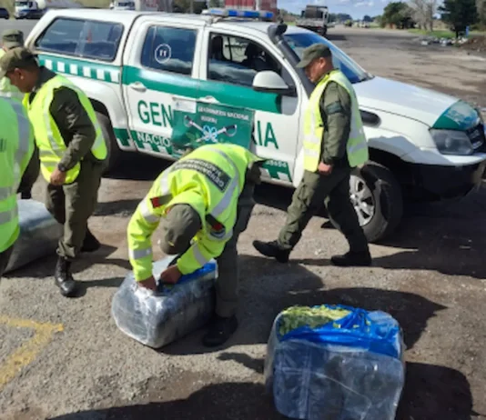 En Zárate: Gendarmería secuestró más de 115 kilos de hojas de coca en la Ruta 9