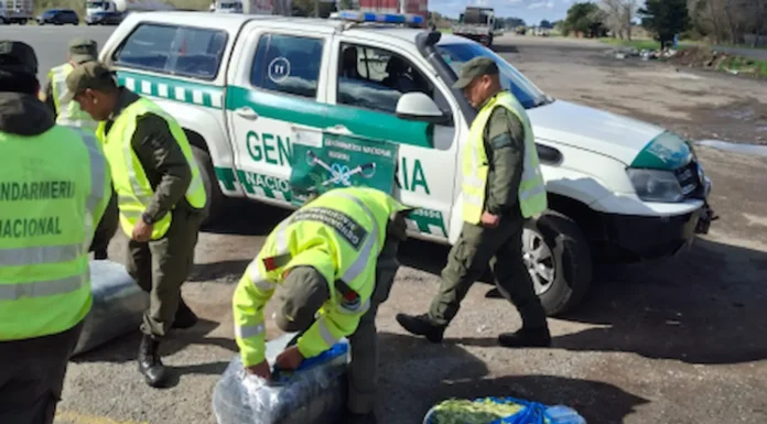 En Zárate: Gendarmería secuestró más de 115 kilos de hojas de coca en la Ruta 9
