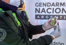 En Zárate: Detectaron resina de marihuana oculta en 560 vapeadores durante un operativo en Ruta 12