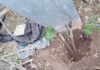 En Zárate: Denuncia la CEZ vandalismo sobre la red eléctrica a la que intentaron sustraerle cables