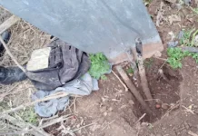 En Zárate: Denuncia la CEZ vandalismo sobre la red eléctrica a la que intentaron sustraerle cables