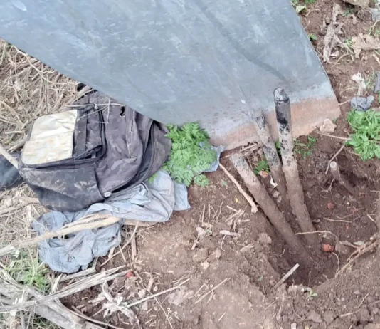 En Zárate: Denuncia la CEZ vandalismo sobre la red eléctrica a la que intentaron sustraerle cables