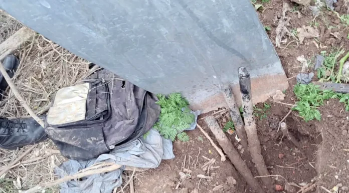 En Zárate: Denuncia la CEZ vandalismo sobre la red eléctrica a la que intentaron sustraerle cables