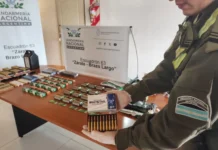 En Zárate: Gendarmería secuestró más de 3.000 municiones ocultas en seis encomiendas