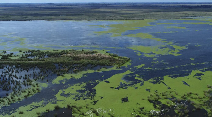 La Provincia regula el uso de tierras públicas en islas y crea un registro