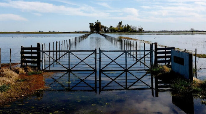 Qué hacer ante El Niño más intenso: guía para municipios del ministerio de Ambiente bonaerense