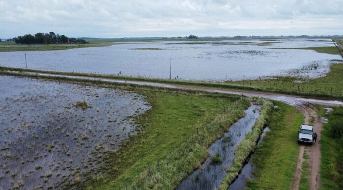El Niño podría ser el más intenso de la historia: caerá hasta 90% más de lluvia que lo esperado