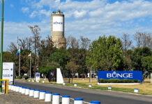 Bunge cesó sus operaciones en Campana y peligran 250 puestos de trabajo