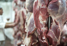 Argentina anunció la apertura total del mercado de Japón para la carne bovina